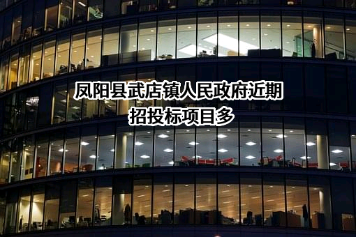 凤阳县武店镇人民政府