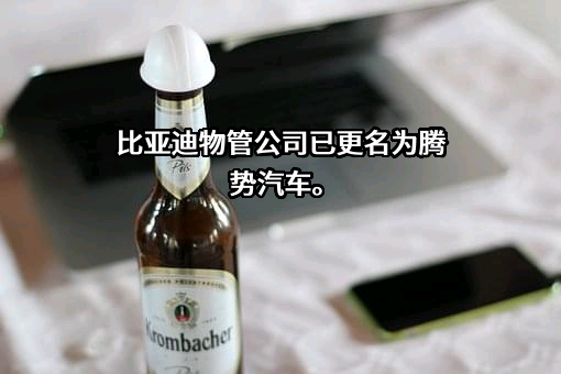 比亚迪汽车工业有限公司