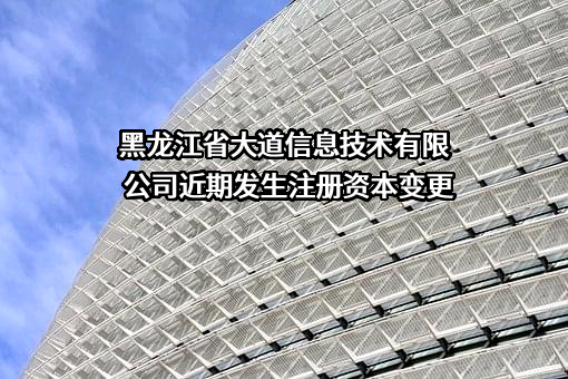 黑龙江省大道信息技术有限公司