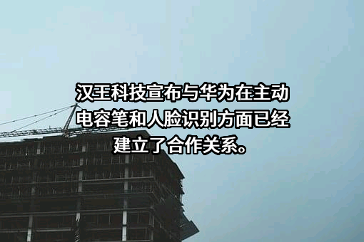 华为技术有限公司