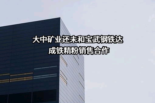 内蒙古大中矿业股份有限公司