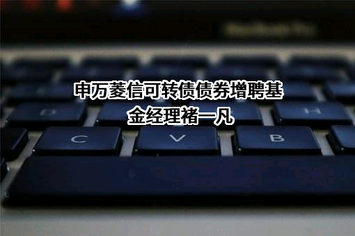 申万菱信基金管理有限公司
