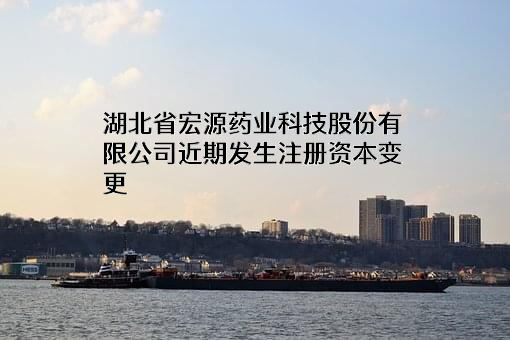 湖北省宏源药业科技股份有限公司