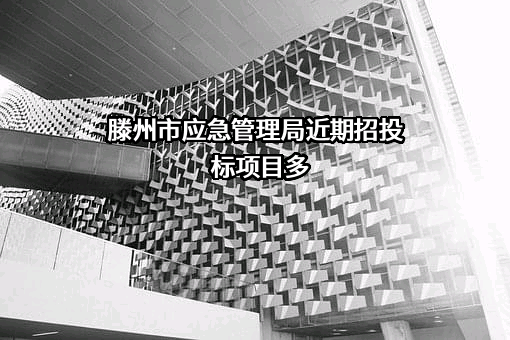 滕州市应急管理局