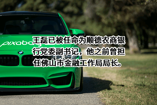 广东顺德农村商业银行股份有限公司