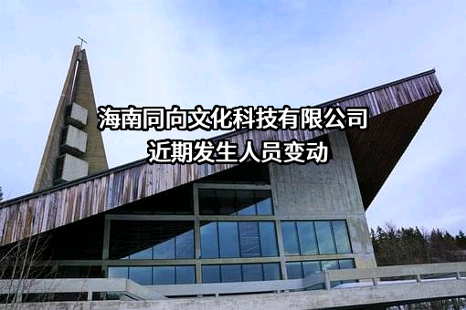 海南同向文化科技有限公司