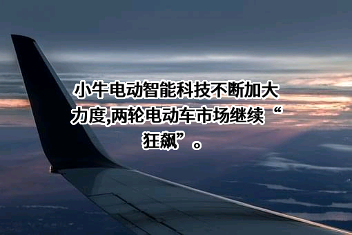 小牛电动有限公司