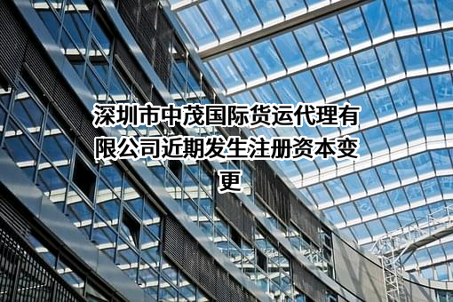 深圳市中茂国际货运代理有限公司