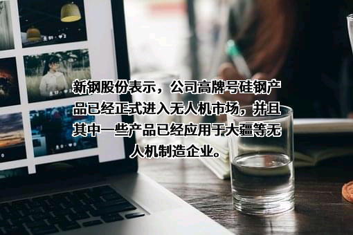 新余钢铁股份有限公司