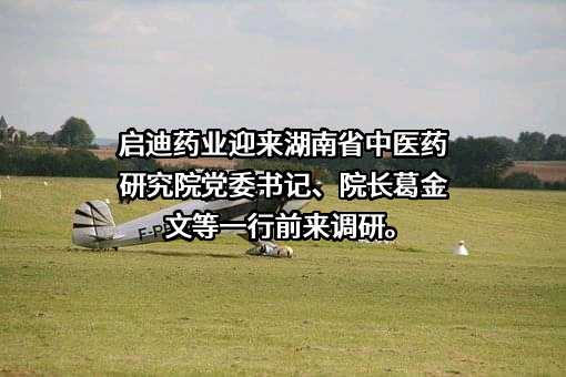 启迪药业集团股份公司