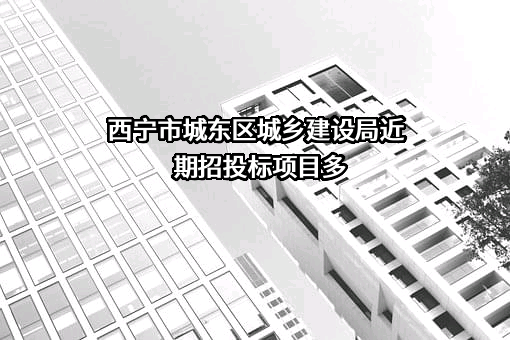 西宁市城东区城乡建设局