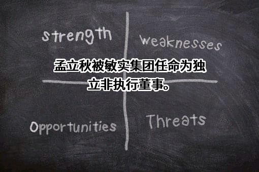 敏实集团有限公司