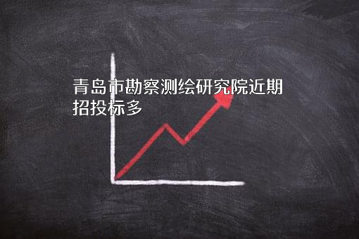 青岛市勘察测绘研究院