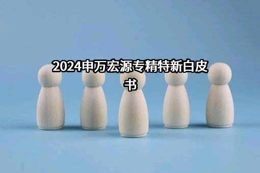 上海申银万国证券研究所有限公司