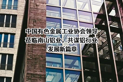 中国有色金属工业协会