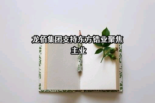 龙佰集团股份有限公司