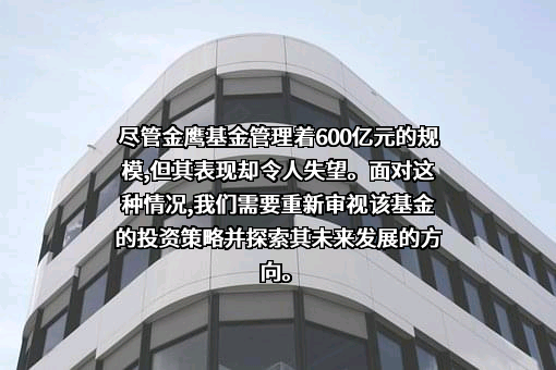 金鹰基金管理有限公司
