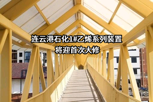 连云港石化有限公司