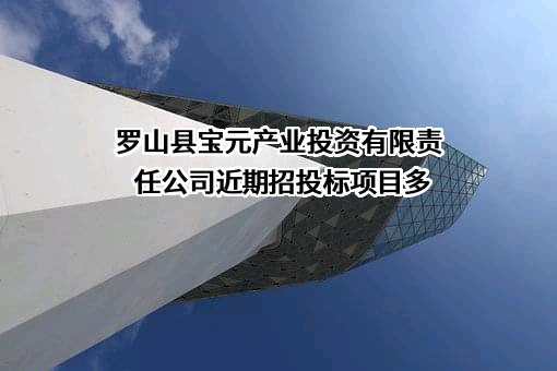 罗山县宝元产业投资有限责任公司近期招投标项目多