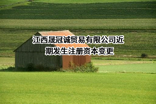 江西晟冠诚贸易有限公司