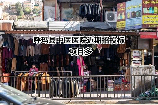 呼玛县中医医院