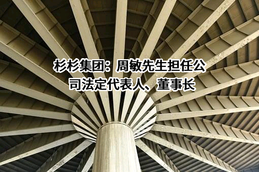 杉杉控股有限公司
