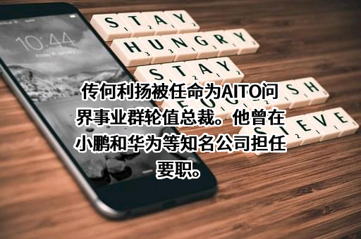 上海赛力斯汽车销售服务有限公司