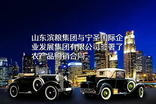 山东滨粮产业发展集团有限公司