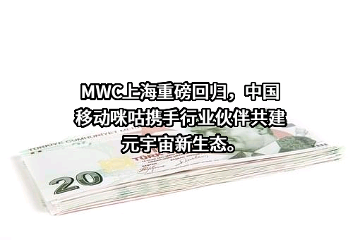 中国移动有限责任公司