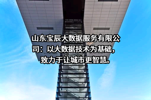 山东宝辰大数据服务有限公司