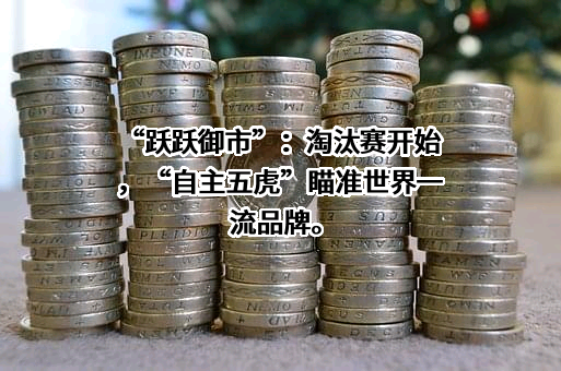 比亚迪股份有限公司