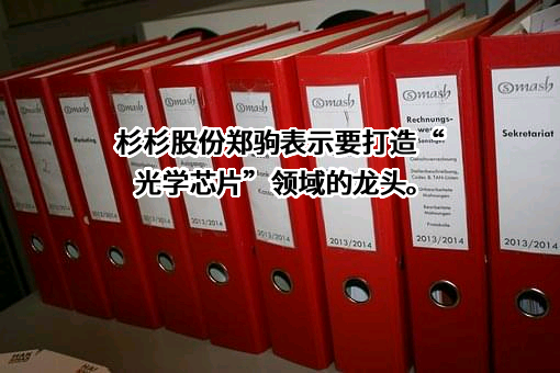 宁波杉杉股份有限公司