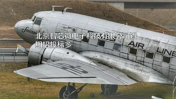 北京智芯微电子科技有限公司