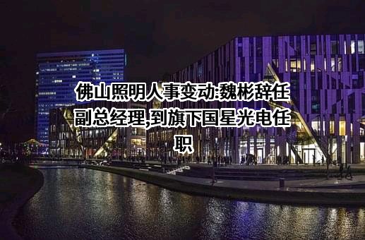 佛山市国星光电股份有限公司