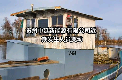 贵州中延新能源有限公司