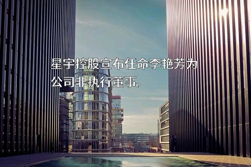 星宇（控股）有限公司