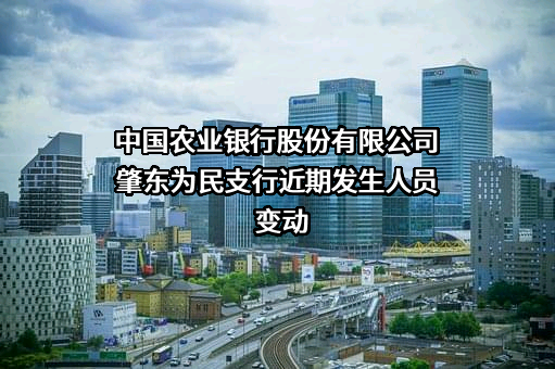 中国农业银行股份有限公司肇东为民支行