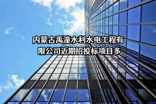内蒙古禹潼水利水电工程有限公司