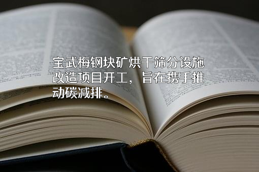 力拓贸易（上海）有限公司