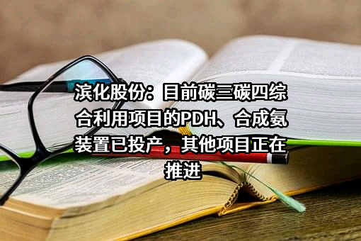 滨化集团股份有限公司