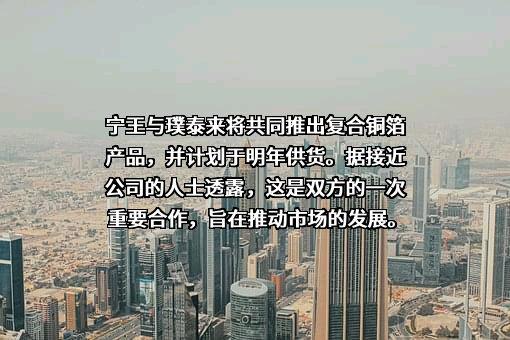 上海璞泰来新能源科技股份有限公司