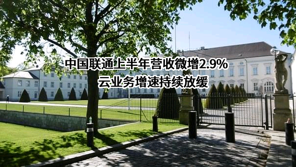 中国联通上半年营收微增2.9% 云业务增速持续放缓