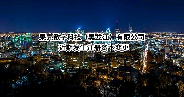 果壳数字科技（黑龙江）有限公司