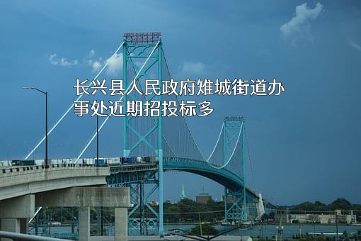 长兴县人民政府雉城街道办事处近期招投标项目多