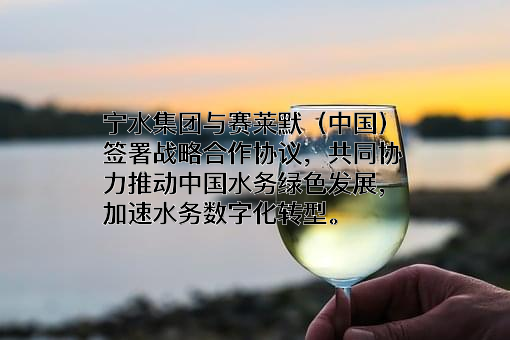 宁波水表（集团）股份有限公司