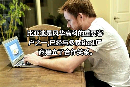 比亚迪股份有限公司