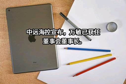 中远海运港口有限公司