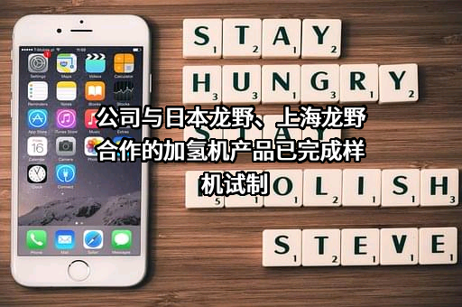 阜新德尔汽车部件股份有限公司