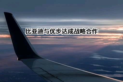 比亚迪股份有限公司