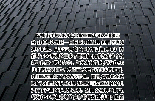 华为技术有限公司